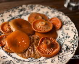 Грибы соленые