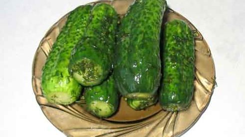 малосольные огурчики без рассола