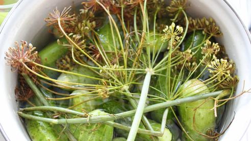 малосольные огурчики на минералке