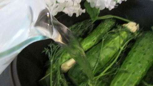 малосольные огурчики в минеральной воде