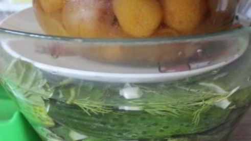 малосольные огурцы на минералке суточные