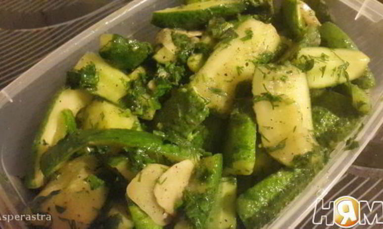 Рецепт малосольных огурцов с горчицея в пакете