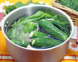 Малосольные огурцы в кастрюле