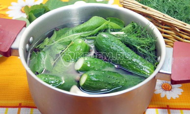 Рецепт малосольных огурцов в кастрюле