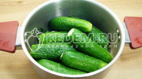 малосольные огурцы в кастрюле