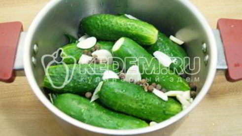 малосольные огурцы в кастрюле