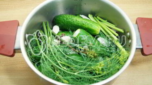 малосольные огурцы в кастрюле