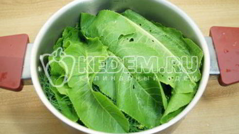 малосольные огурцы в кастрюле