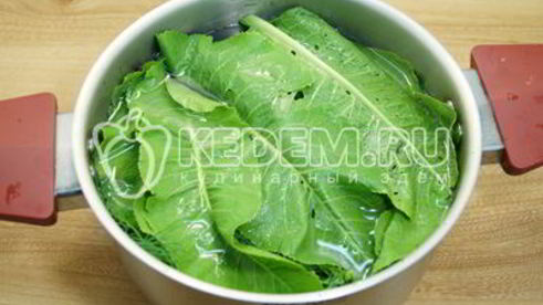 малосольные огурцы в кастрюле