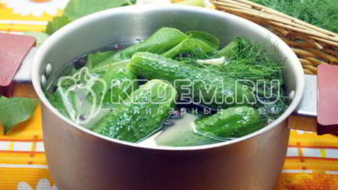 малосольные огурцы в кастрюле