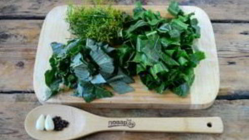 малосольные огурцы за сутки