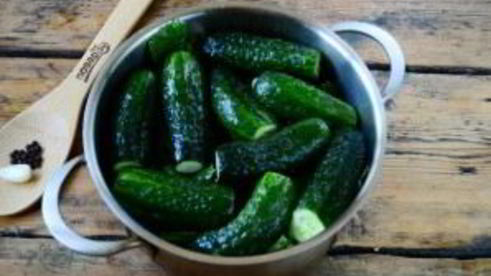 малосольные огурцы за сутки