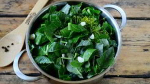 малосольные огурцы за сутки