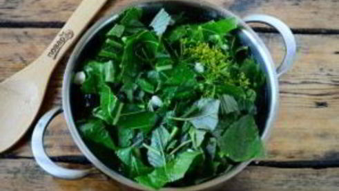 малосольные огурцы за сутки