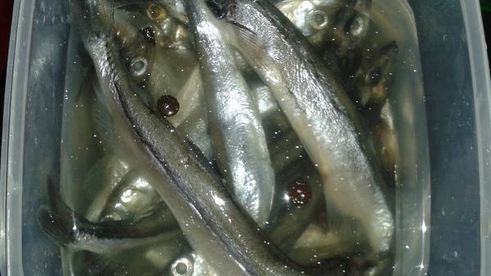 мойва малосольная