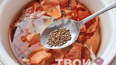 сало в луковой шелухе