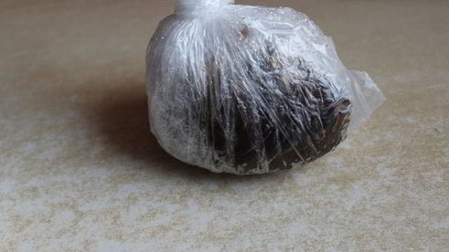 самое вкусное сало