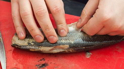 сельдь соленая