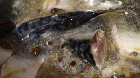 скумбрия домашнего посола