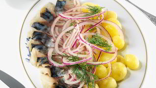 Слабосоленая скумбрия