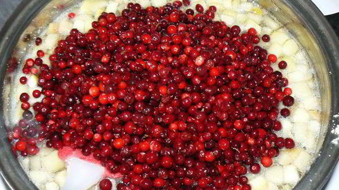 брусничное варенье с яблоками