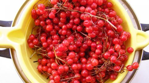 варенье из калины на зиму