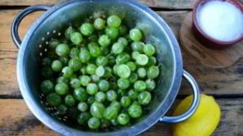 варенье из крыжовника с лимоном на зиму