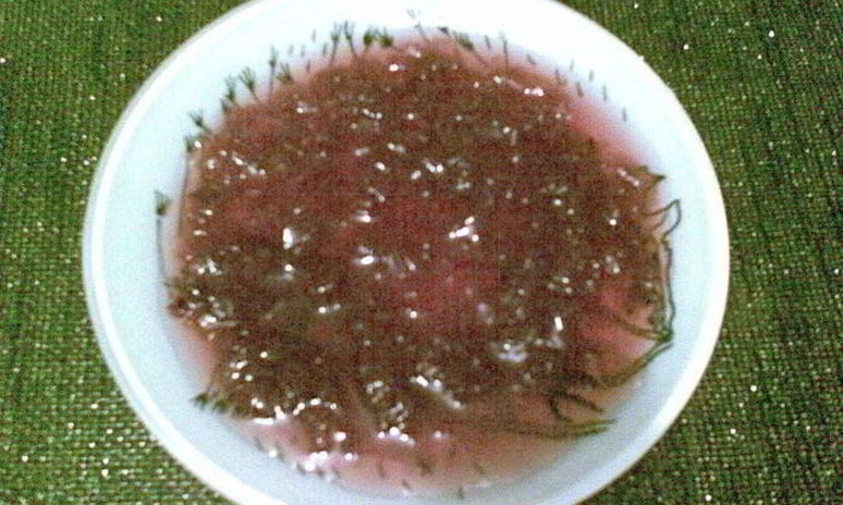 Рецепт варенья из лепестков розы