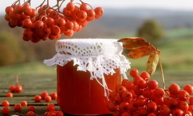 Рецепт варенья из лесной рябины