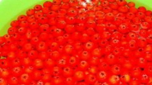 варенье из лесной рябины