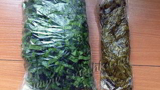 Заготовка щавеля на зиму