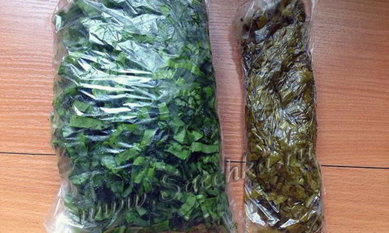 Рецепт заготовки щавеля на зиму