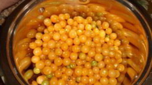 заготовки из физалиса