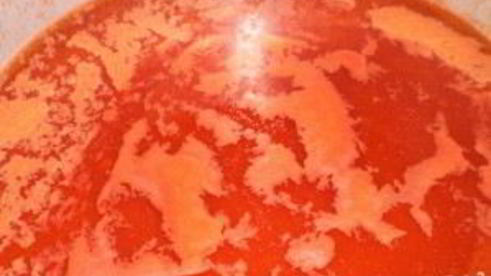 закатка фаршированного перца