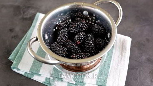 заморозка ежевики на зиму