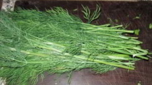 зелень на зиму