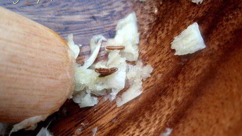 эссекская икра