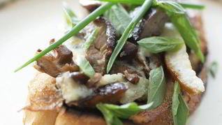 Омлет с грибами и куриной печенкой