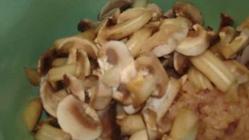 куриный паштет с грибами по борису бурде