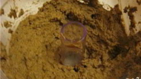 паштет из говяжьей печени в духовке