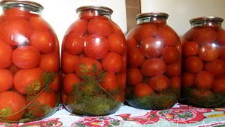 Помидоры с морковной ботвой на зиму