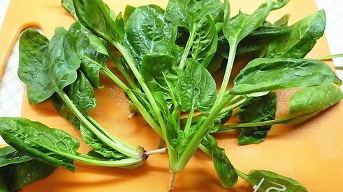 роллы из тыквы со шпинатом, копченостями и фисташковым майонезом