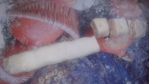 быстрые закусочные рулетики