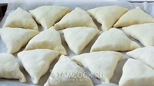 самса с курицей