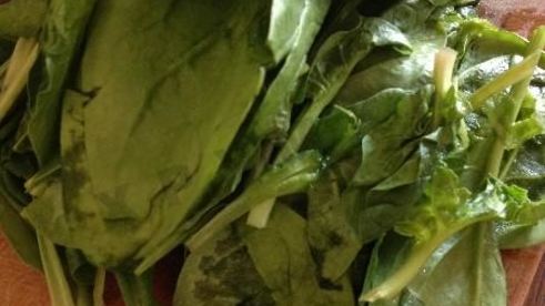 шпинатовая паста с творогом и мацони — зеленая встреча