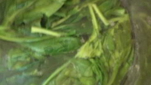 шпинатовая паста с творогом и мацони — зеленая встреча