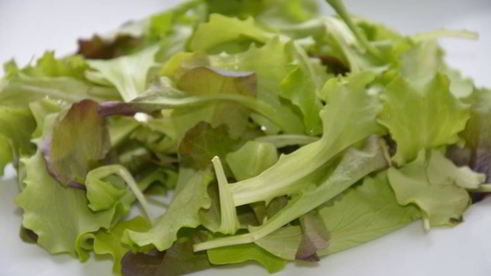 сэндвич с яйцом-пашот и салатом