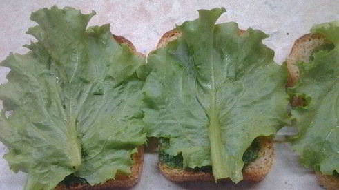 сэндвичи дорожные