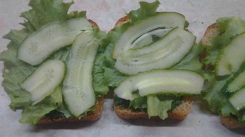 сэндвичи дорожные