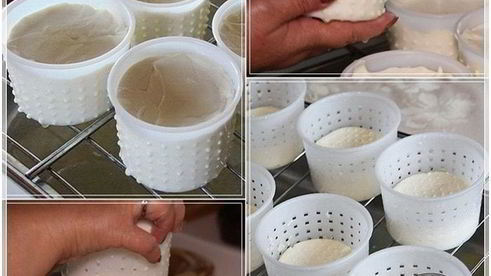 сыр кроттен из молока англо-нубийских коз